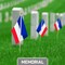 G128 24 Pack Handheld France French Stick Flags | 8x12 In | Printed 150D Polyester, Country Flag, Solid Wooden Stick, Spear Gold Tip